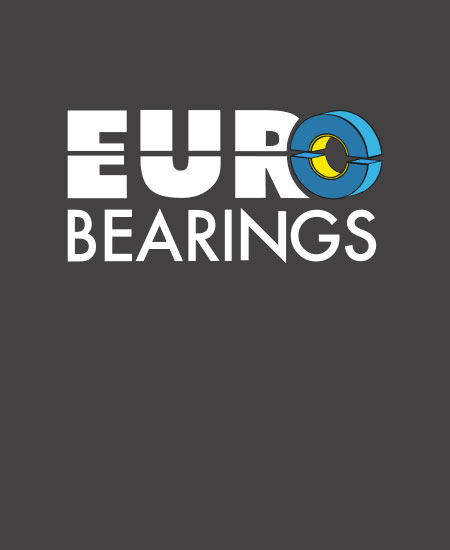 Mauro Mozzato Eurobearings Managing Director EUB India